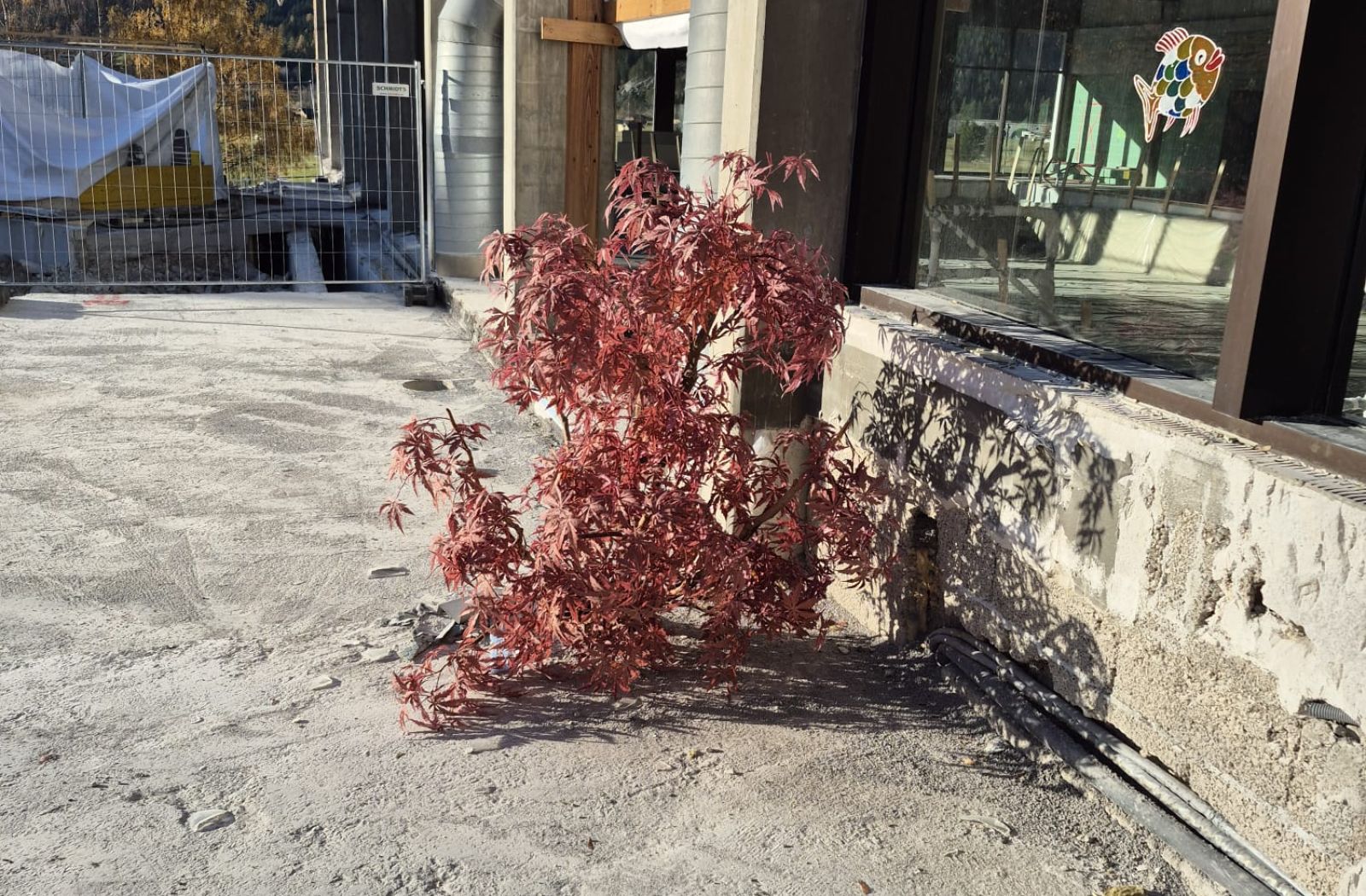 Photo 2025 11 06 09 22 03 4